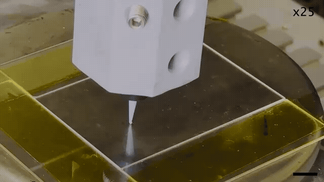 Research GIF 8